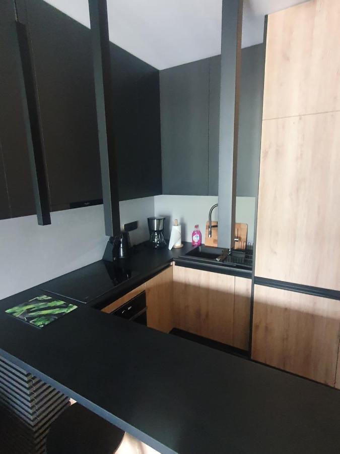 Apartament Szyndzielnia Bielsko-Biała Eksteriør billede